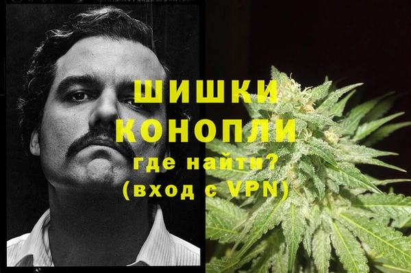 spice Вяземский