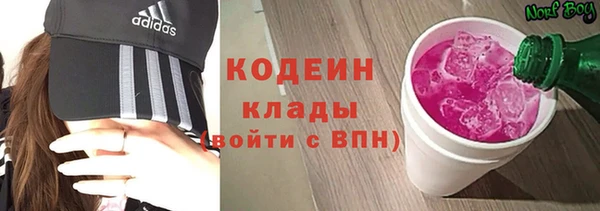 твердый Гусев