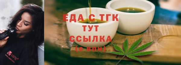 твердый Гусев