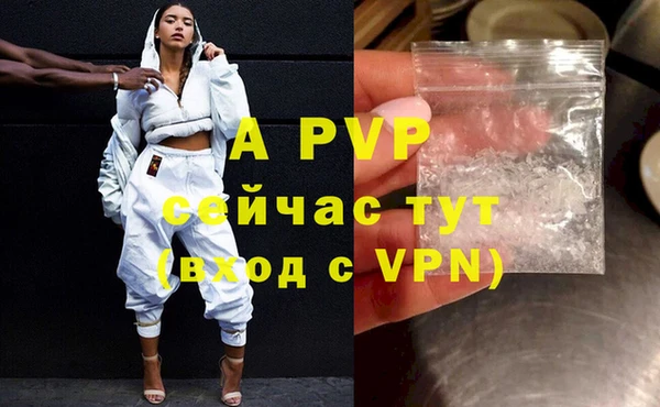 твердый Гусев